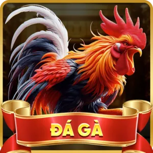 Đá gà lu88 trực tiếp